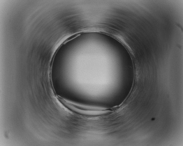 X0000099421484200805231617