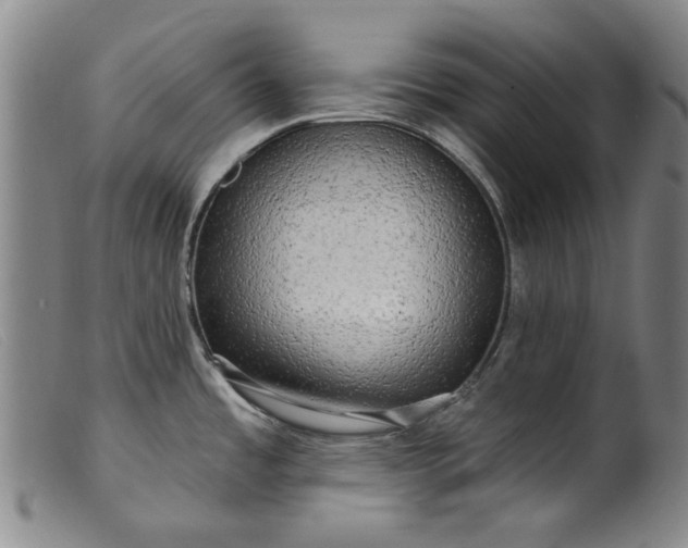 X0000099421485200805231617