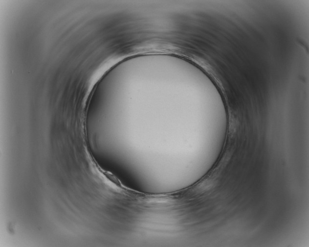 X0000099421486200805231617