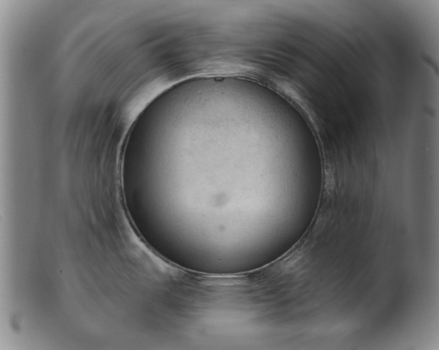 X0000099421487200805231617