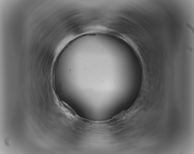 X0000099421488200805231617