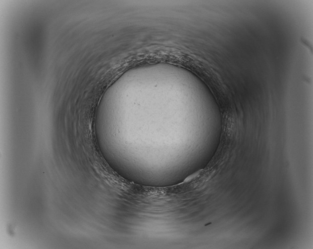X0000099421489200805231616