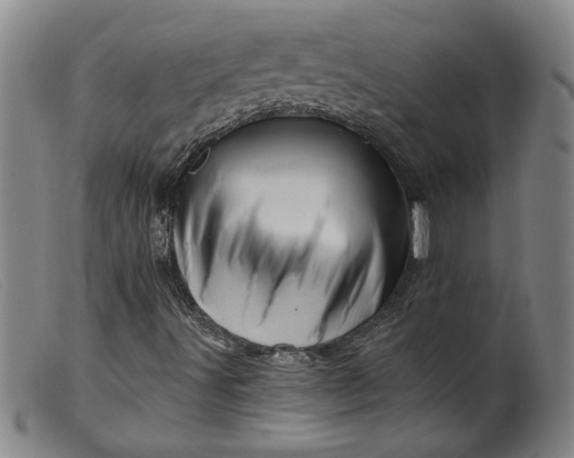 X0000099421491200805231616