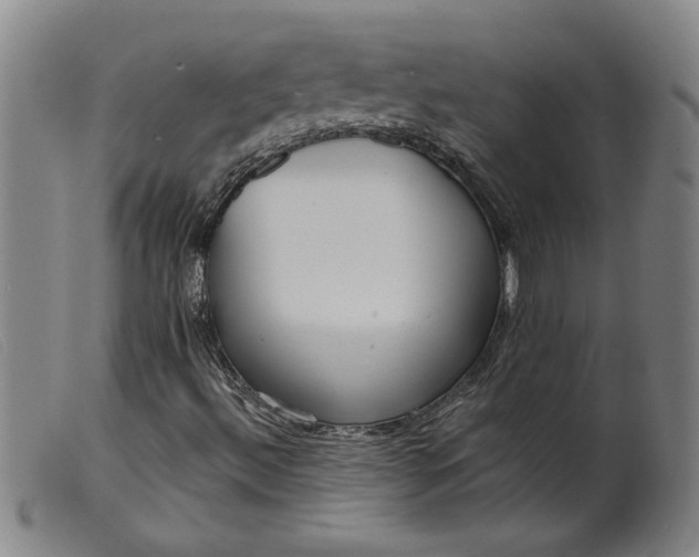 X0000099421492200805231616
