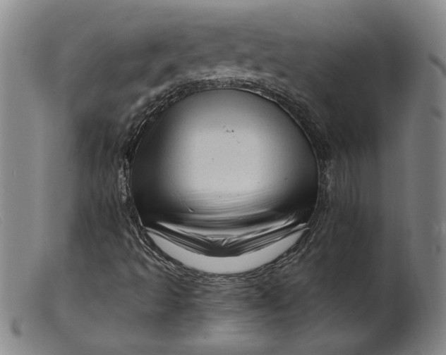 X0000099421493200805231616