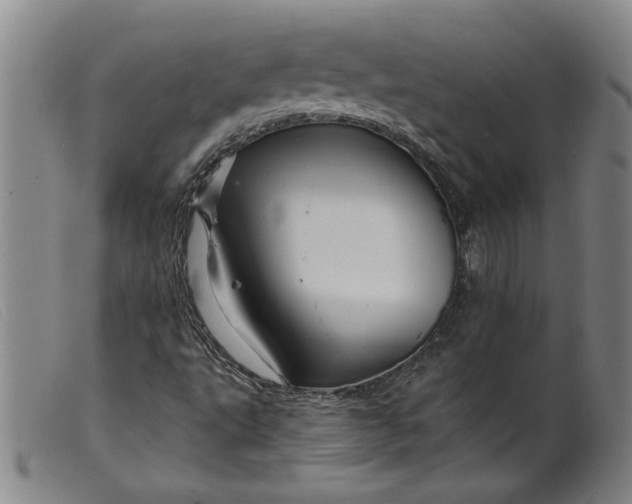X0000099421495200805231616