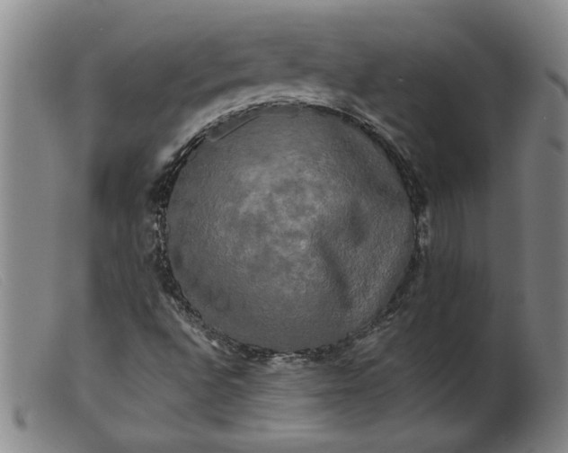 X0000099421496200805231616
