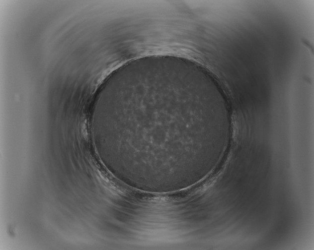 X0000099421497200805231616