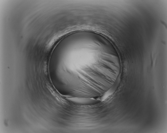 X0000099421499200805231616
