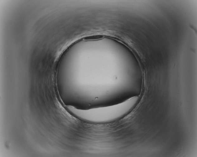 X0000099421500200805231616