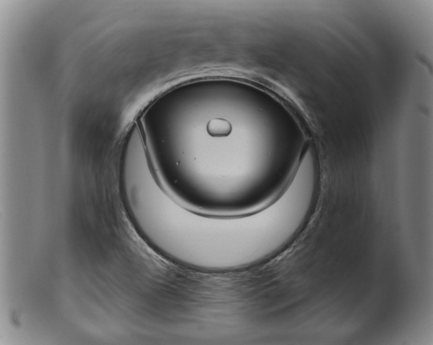 X0000099421504200805231616