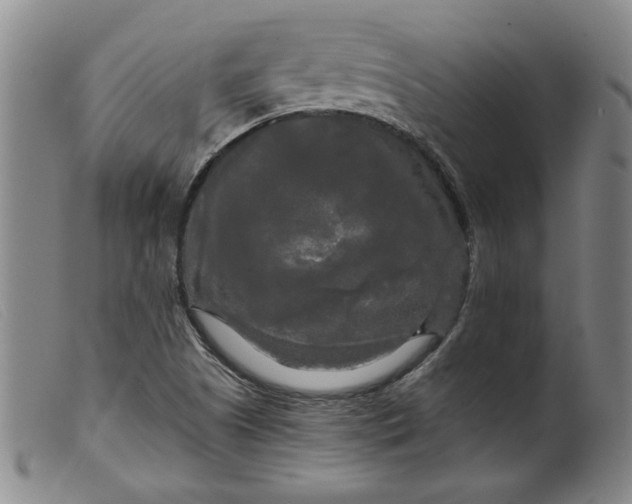 X0000099421505200805231616
