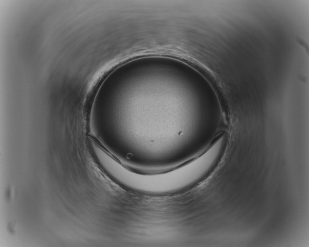 X0000099421506200805231616