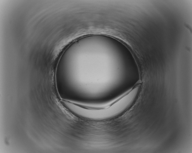 X0000099421507200805231616