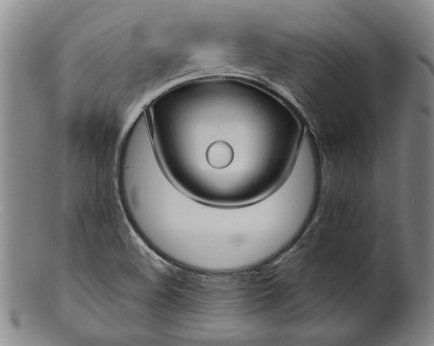 X0000099421508200805231616