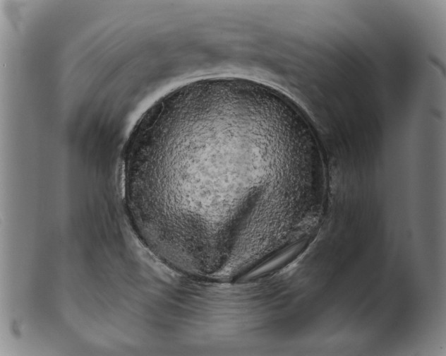 X0000099421510200805231616