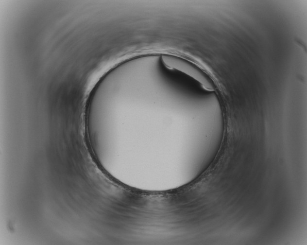X0000099421512200805231616