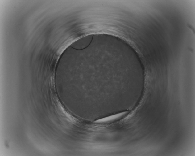 X0000099421513200805231616
