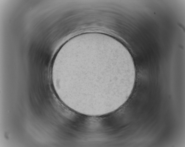 X0000099421514200805231616
