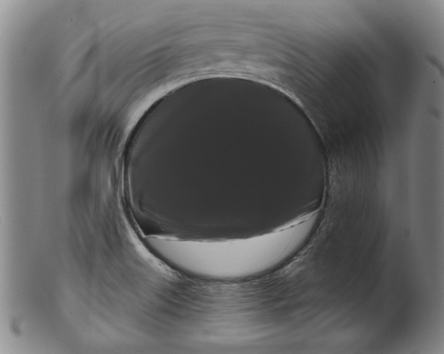 X0000099421515200805231616