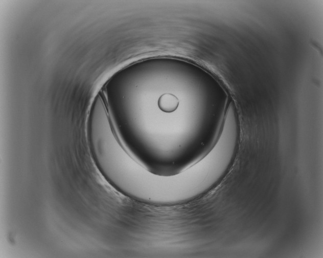 X0000099421516200805231616