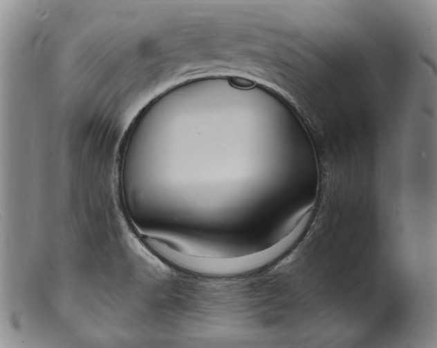X0000099421518200805231616