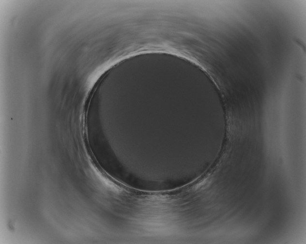 X0000099421519200805231616