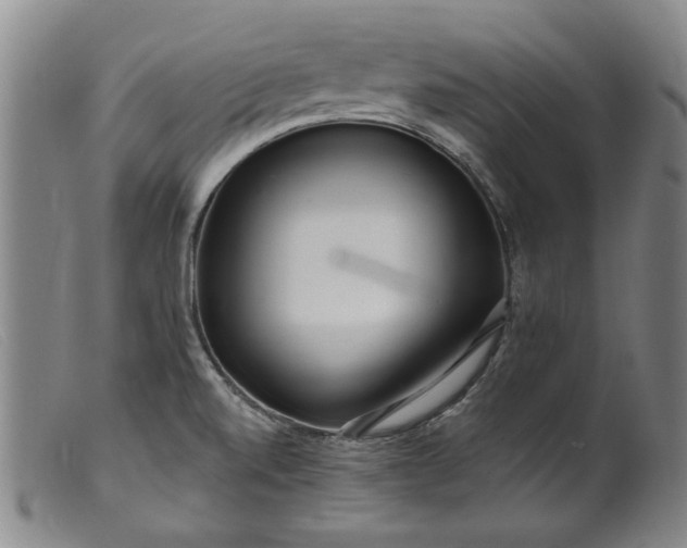 X0000099421520200805231616