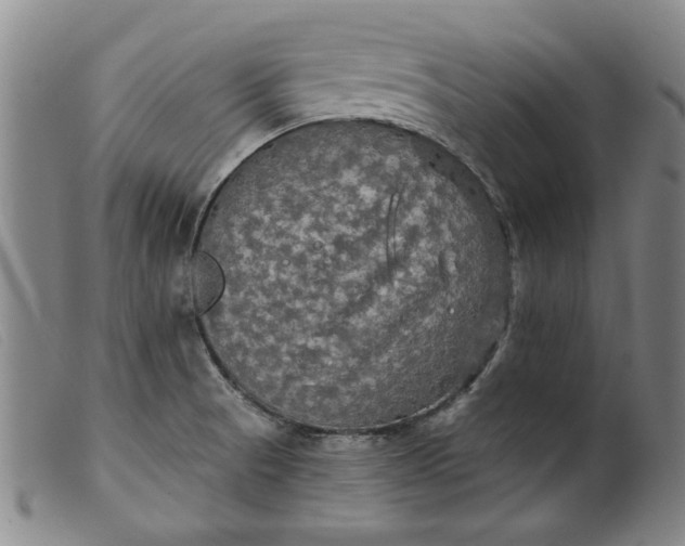X0000099421521200805231616