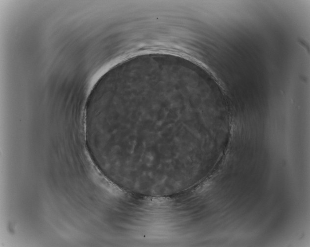 X0000099421522200805231616