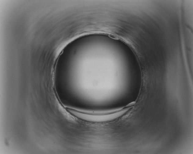 X0000099421524200805231616