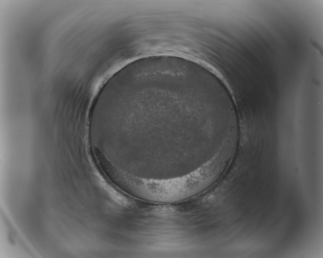 X0000099421525200805231616