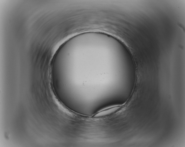 X0000099421526200805231616