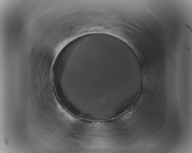 X0000099421527200805231617