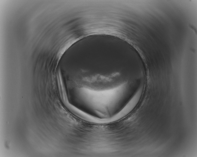 X0000099421529200805231617