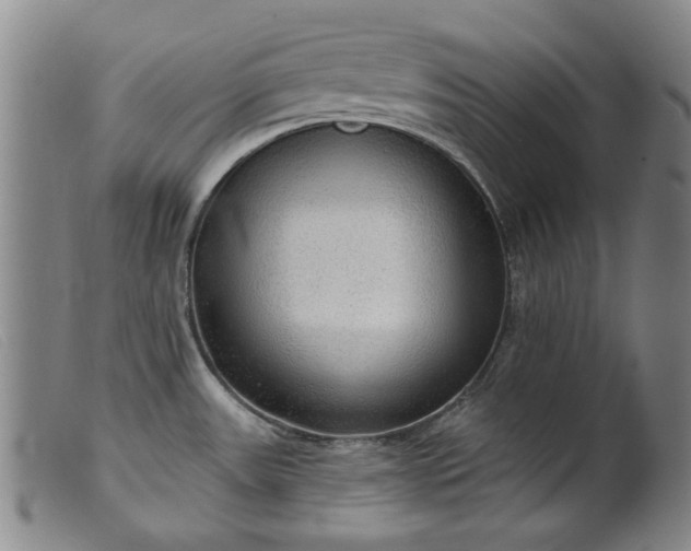 X0000099421531200805231617