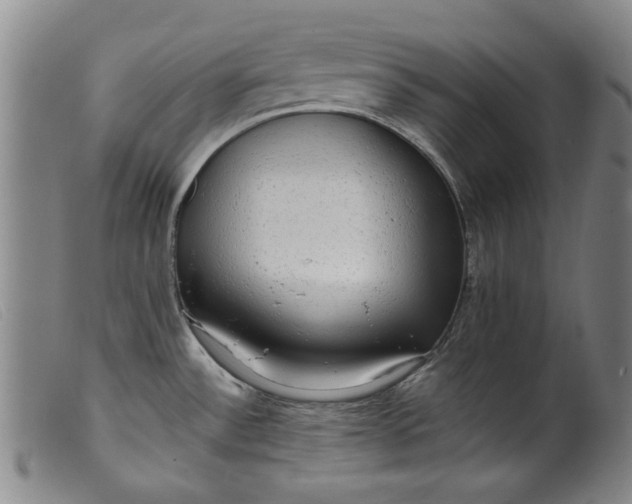 X0000099421532200805231617