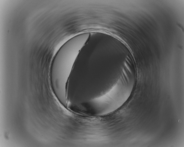 X0000099421533200805231617