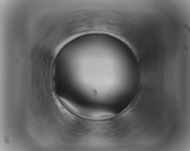 X0000099421534200805231617