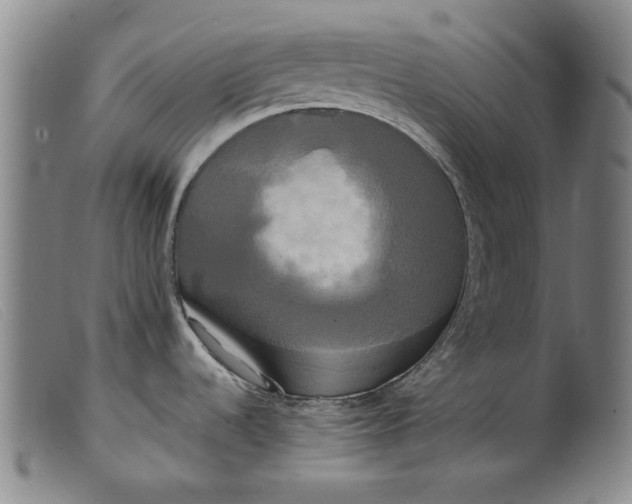 X0000099421536200805231617