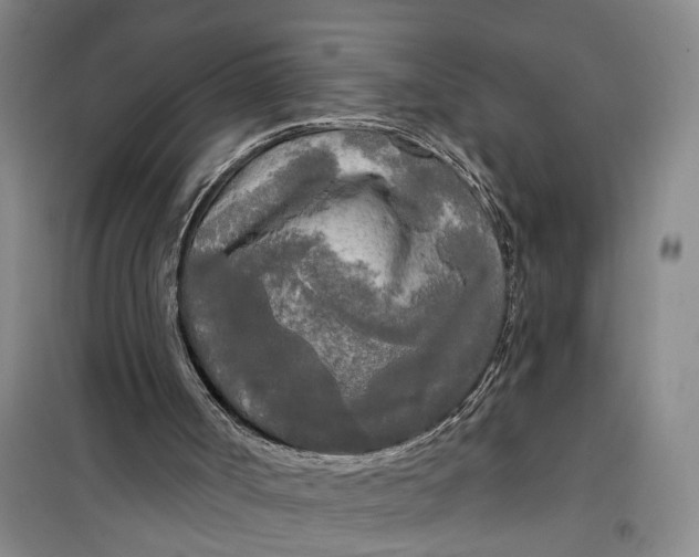 X0000099420002200805301417