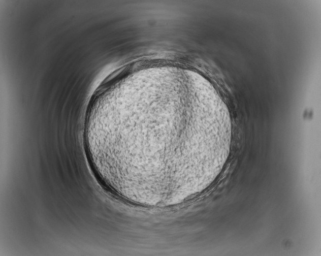 X0000099420003200805301417