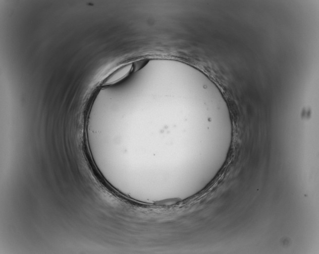 X0000099420005200805301417