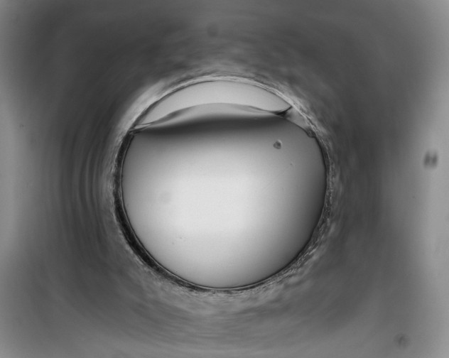 X0000099420007200805301417