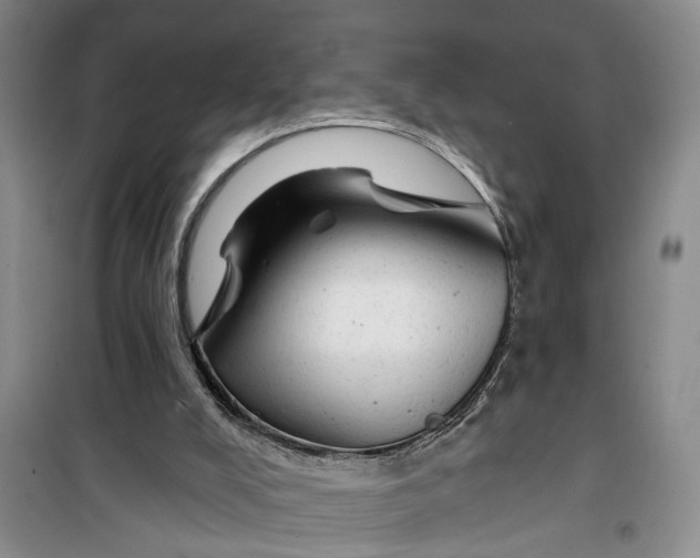 X0000099420008200805301417