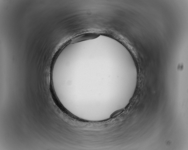 X0000099420011200805301417