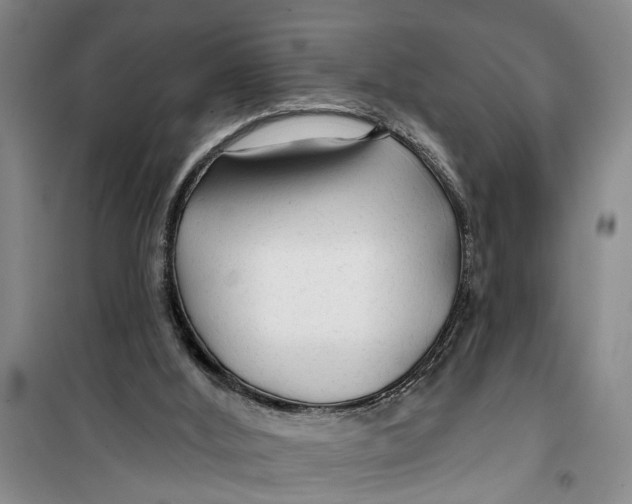 X0000099420012200805301417