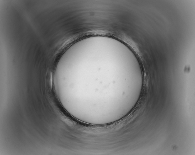 X0000099420013200805301417