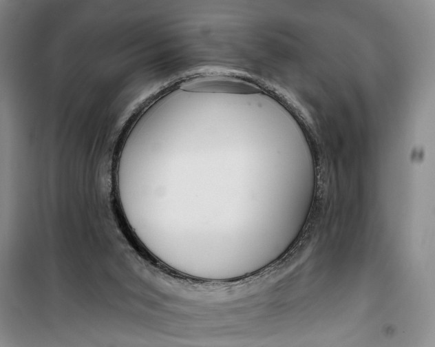 X0000099420015200805301417