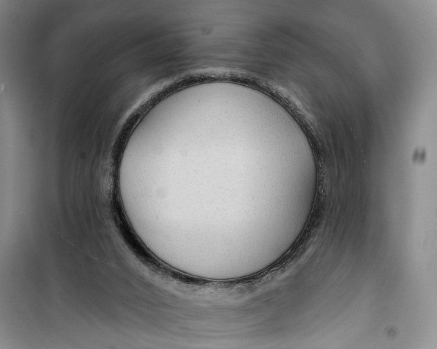 X0000099420016200805301417